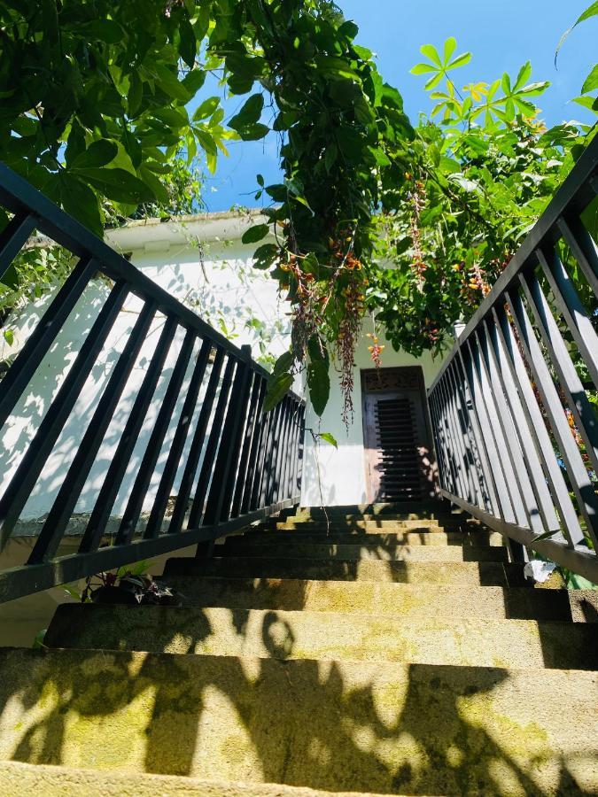 The Kingdom Of Ella Apartment Ngoại thất bức ảnh