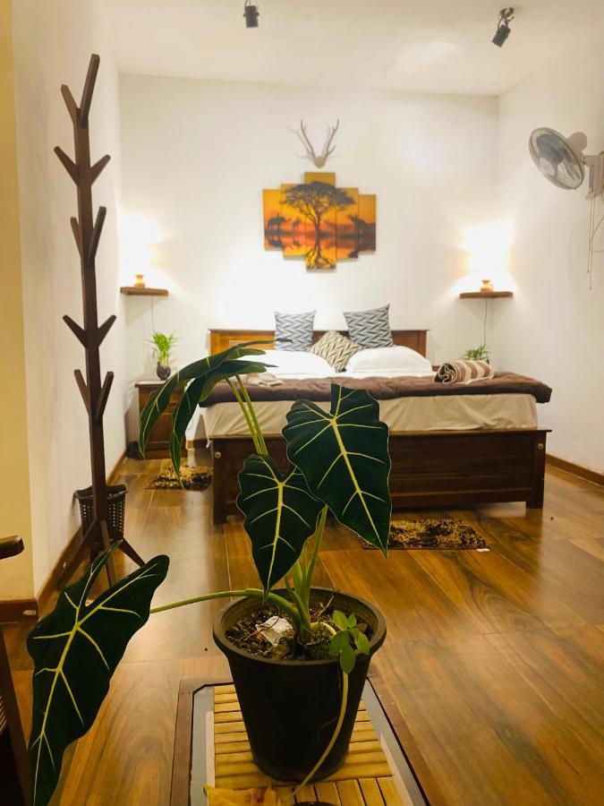 The Kingdom Of Ella Apartment Ngoại thất bức ảnh