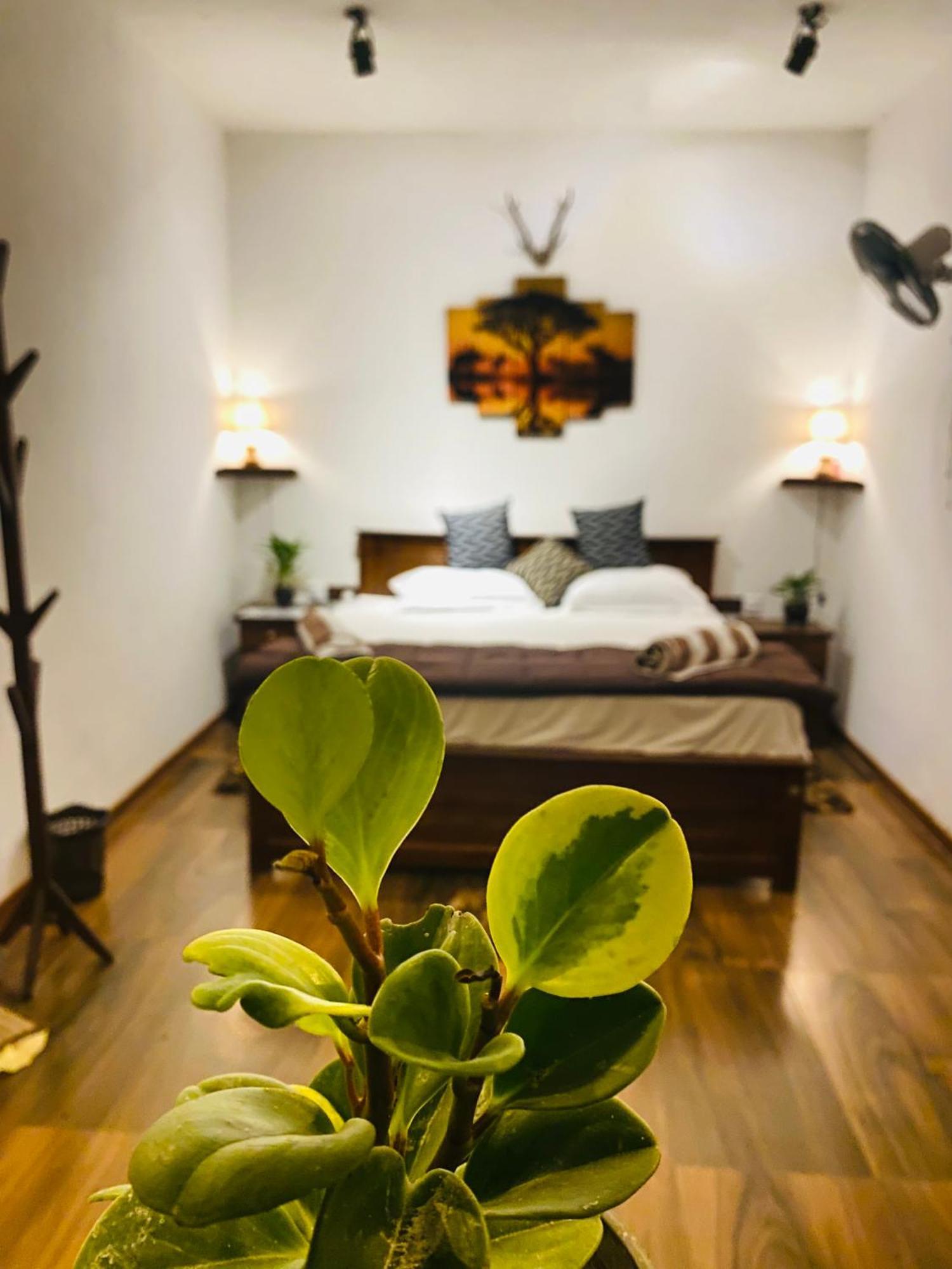 The Kingdom Of Ella Apartment Ngoại thất bức ảnh